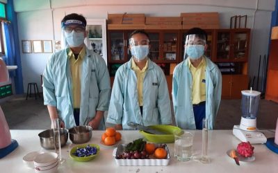 SMP Strada Marga Mulia Meraih Juara 3 Lomba Karya Tulis Ilmiah Tingkat Strada